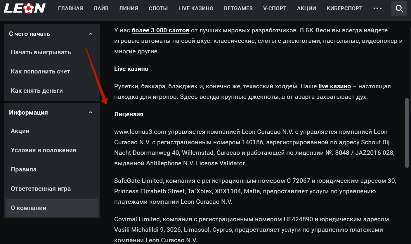 Информация о лицензии компании